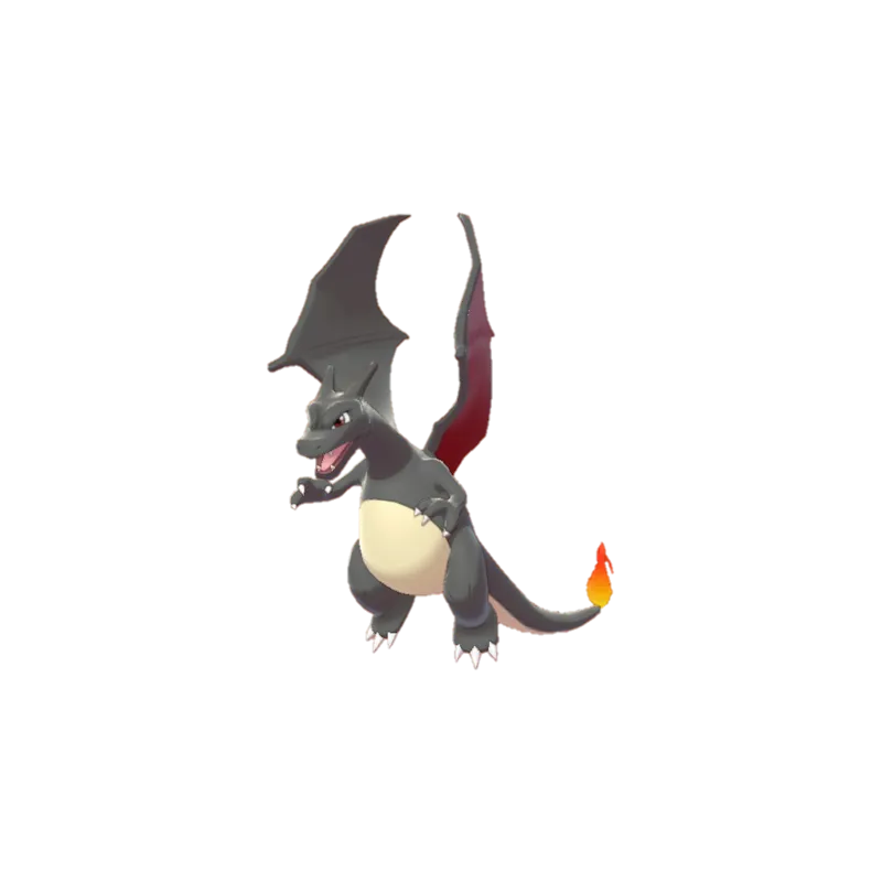 charizard (10)